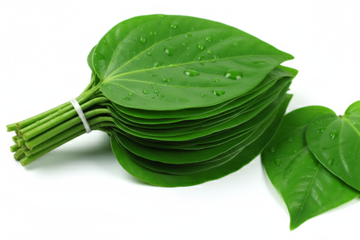 Gemini_Generated_Image_34qmdc34qmdc34qm